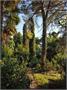 6_garten